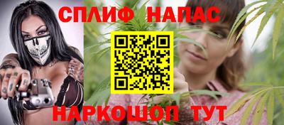 дживик Можга
