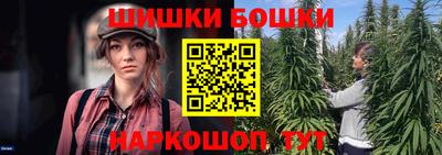 дживик Можга