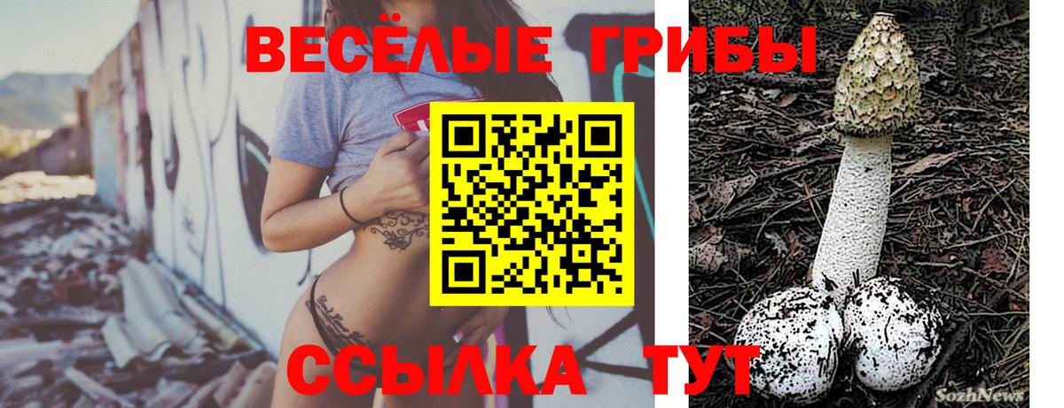 Галлюциногенные грибы Cubensis  Галлюциногенные грибы мицелий  Вход с VPN  Унеча 